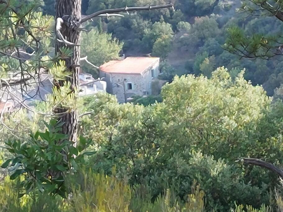 Le Cantou De Juliette Appartement Prugnanes